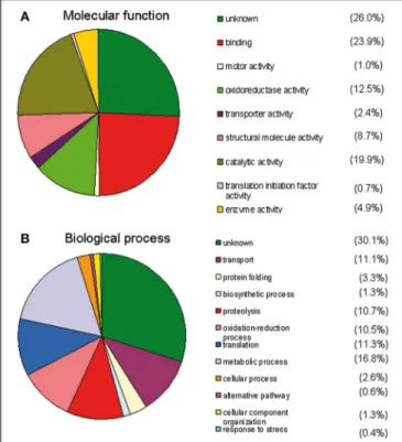 FIGURE 2 | Gene ontology analysis using the MSDA database. The different groups are ranked by size