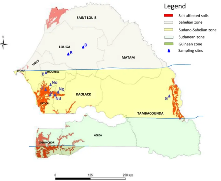 Fig 1. Localization of sampling sites in Senegal. Sampling sites are indicated in blue (D = Dahra, K = Kamb, B = Bambey, F = Foundiougne, Ng = Ngane, V = Vélor, Nd = Ndiafate, No = Nonane, G = Goudiry)