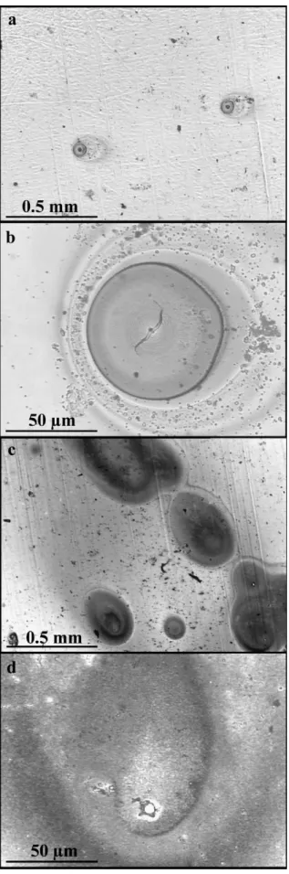 Fig. 13. Optical micrographs of the surface of (a and b) the Al–33Cu alloy and (c and d) the Al–42Cu alloy after galvanic coupling for 2 h in 0.1 M Na 2 SO 4