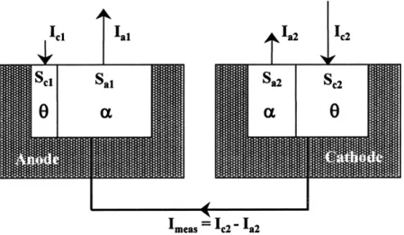 Fig. 7. Schematic representation of the electrochemical reactions occurring on a galvanic couple composed of two ( ␣ + ␪ )-containing alloys.