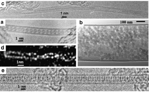 Fig. 2. Examples of transmission electron microscopy (TEM) images of hybrid carbon nanotubes