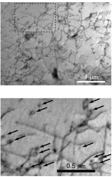 Fig.  7.  a)  Micrograph  of  a  ferritic  grain  attesting  of  the  large  density  of  dislocations  impeached  by  small obstacles and large carbide precipitates