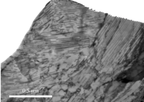 Fig. 4. Area of the PM98 nail dominated by pearlitic colonies with various orientations