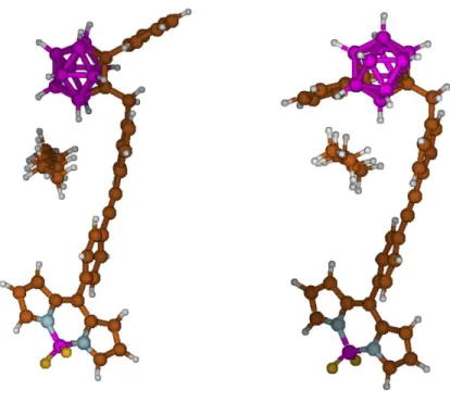 Figure  4.  Computed  geometries  for  BODIPY-o-Ph-CB  (left)  and  BODIPY-m-Ph-CB  (right) with one molecule of hexane