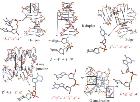 Figure 1: Examples of DNA secondary structures and associated backbone-torsion angles γ/β/α/ε/ζ of representative dinucleotide units