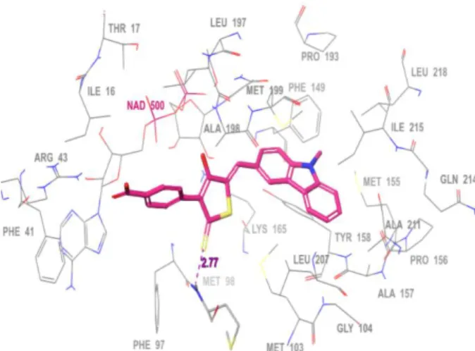 Fig. 3. The docked pose (thick-tube model, magenta colour) of compound 9e into the active-              site showing crucial interactions