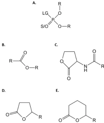 Figure 1 | Chemical structure of the tested substrates. Chemical structures of (A.) phosphotriesters, (B.) esters, (C.) Acyl-Homoserine Lactones, (D.) c-lactones and (E.) d-lactones