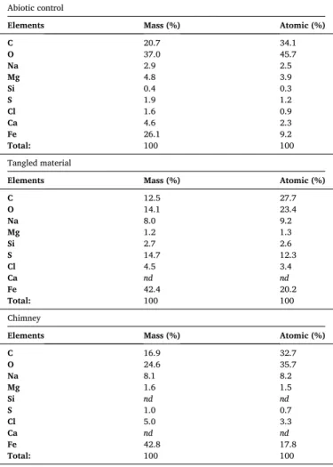 Fig. 2. Scanning electron micrograph (SEM) and X-ray microanalysis (EDX maps) of a chimney observed after the exposure of an iron specimen to a culture of  A