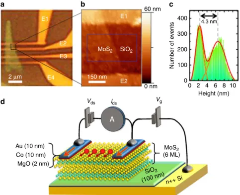 Figure 1 | Multilayer MoS 2 -based lateral spin-valve device. (a) Optical image of the device with the multilayer MoS 2 ﬂake on 100 nm SiO 2 /Si(nþ þ ) substrate, the E1, E2, E3 and E4 indicate the four Au/Co/MgO electrodes
