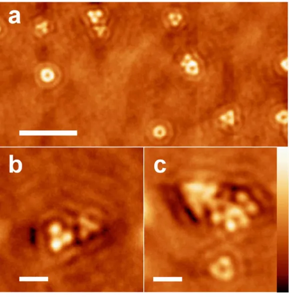 Figure 4. (a) Low magnification photochemical image of a nanoprism assembly. (b, c) Close-up  photochemical images of the complex pattern produced by clusters of closed packed nanoprisms
