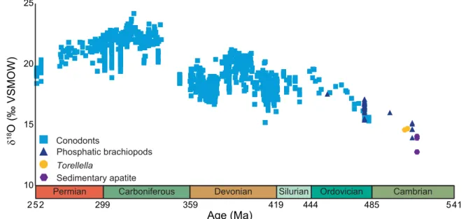 Table 1. Bulk (trisilver phosphate) d 18 O phos data from the Comley Limestones and SSTs exploring the influence of different values for d 18 O sw 