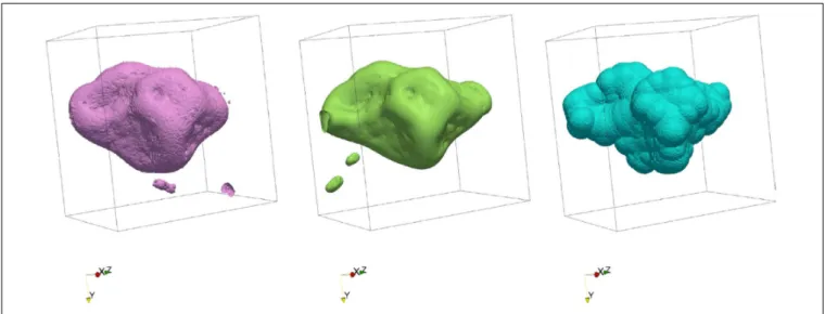 FIGURE 4 | Air-water interface surfaces of a region of interest (region p1bkk04a) in a silt-loam soil, measured via synchrotron X-ray computed tomography (left), predicted using the Lattice-Boltzmann method (center), and predicted by the geometric primitiv