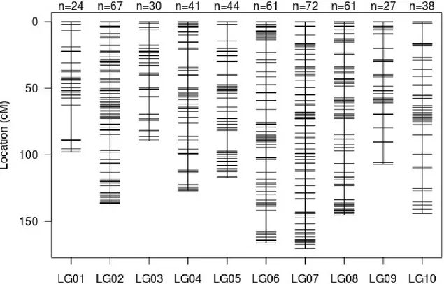 Figure 2: Cotesia typhae linkage map based on RAD genotyping of 92 F2 CSS. The linkage map includes 978 