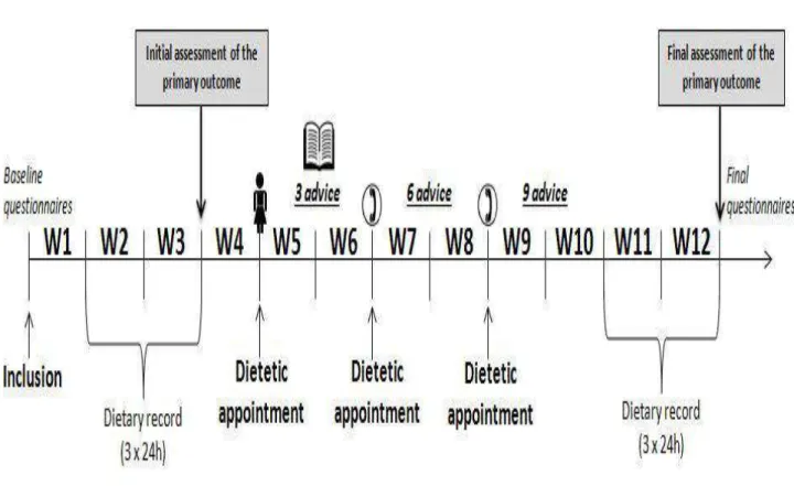 Figure  1.  Timeline  of  12-week  dietetic  follow-up  for  one  participant.  The  pictogram  showing  a  woman  corresponds  to  a  face-to-face  dietetic  appointment,  whereas  the  pictogram  showing  a  telephone  corresponds  to  a  dietetic  appoi