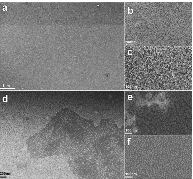 Figure S4 shows SEM images taken at several magnifications. Fig. S4a shows that the filaments are  made of a uniform, one-particle-thick film that extends overs tens of micrometers