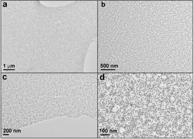 Figure S5.  TEM images of Au-A3 conjugate mixed with Au-A17 protein conjugate. (a,b,c) Low magnification  views of the self-assembled monolayered film of Au nanoparticles
