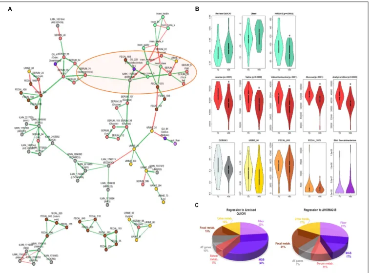 FIGURE 3 | Connection between change in IS, BCAAs and other factors from host, lifestyle, and microbiota