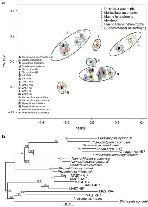 Fig. 1 Marine heterotrophic SAG lineages form a functional group distinct from autotrophs and other heterotrophs
