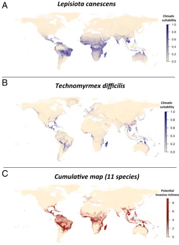 Fig. 2. Global distribution of predicted invasive species for (A) the predicted superinvasive L
