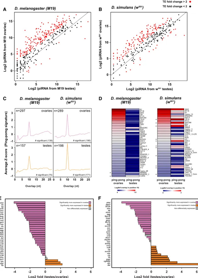 Fig. 3.—piRNA-mediated silencing of TE is predominant in ovaries, weak in testes. (A, B) Scatterplots showing the piRNA expression (number of piRNA normalized by total number of miRNA) per TE family between ovaries and testes of Drosophila melanogaster (A)
