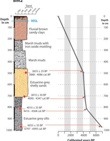 Figure 2. BM2 sedimentary profile and age–depth model interpo- interpo-lated curve.