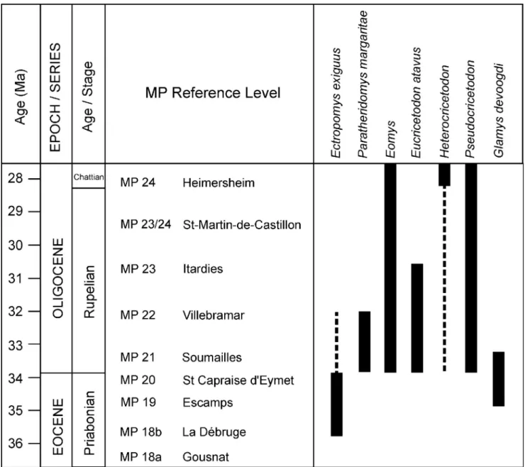 Fig. 5. Known stratigraphical extension of the rodents identiﬁed in Santpedor-2, after Vianey-Liaud (1994), Freudenthal (1996), Hooker et al