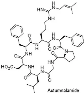 Fig. 1. Autumnalamide chemical structure.