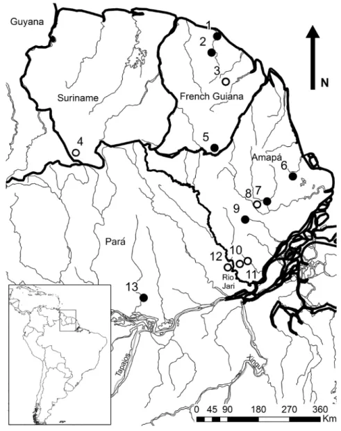 Fig. 1: Map of part of the Guianan Shield with 13 localities from where specimens of Neusticomys  oyapocki have been  examined