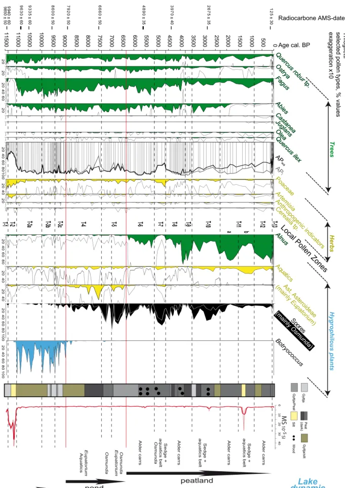 Fig . 8. Main pollen taxa, lithology and Magnetic Susceptibility represented in age (calibrated BP)