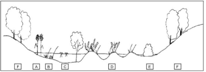 Fig. 4. Transect of actual vegetation around Lago Trifoglietti.