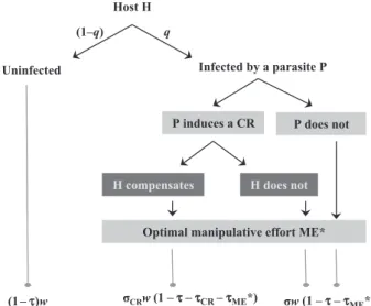 Figure 2. Possible expected gains of a manipulatable host. The equations correspond to the case where both strategies increase the predation rate (i.e., s CR > 0, a CR = 0, s ME > 0, and a ME = 0).