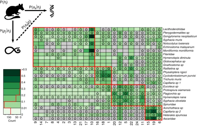Figure 3 | Parasite-supertype association matrix. Matrix values depict the probability of sampling an individual of any host species infected by parasite species p j that harbours supertype s k —P(s k |p j )