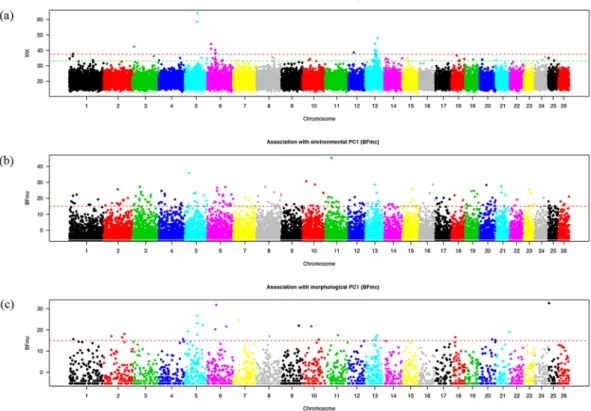 Figure 7.  Whole genome scan for adaptive divergence and association analyses in 20 Chinese cattle breeds