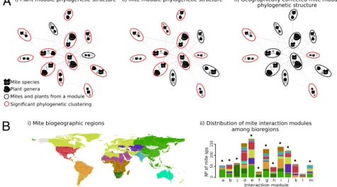 Fig. 2. Phylogenetic signal in host use disappears after accounting for geography. (A) Module simplification of the clade-oriented spider mite – plant in- in-teraction network showing statistical significance in phylogenetic module structure