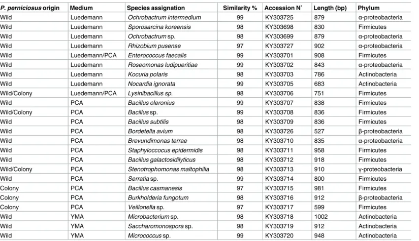 Table 1. Bacterial species assignation.