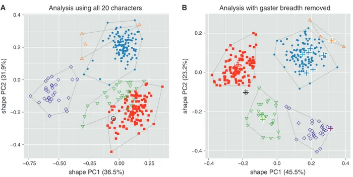 Figure 1A shows a scatterplot of the first two shape PCs including all twenty variables and six OTUs