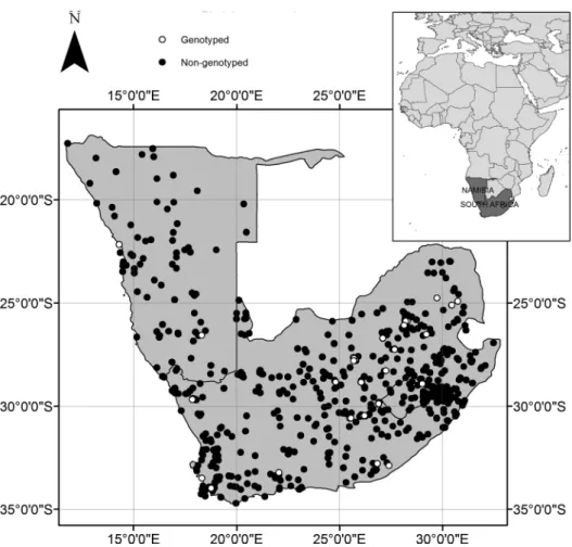 Figure 2. Geographic location of Rhabdomys occurrence records used in the analysis. Black dots indicate records of Rhabdomys obtained from various sources (see Appendix 1) whereas open circles indicate genotyped individuals.