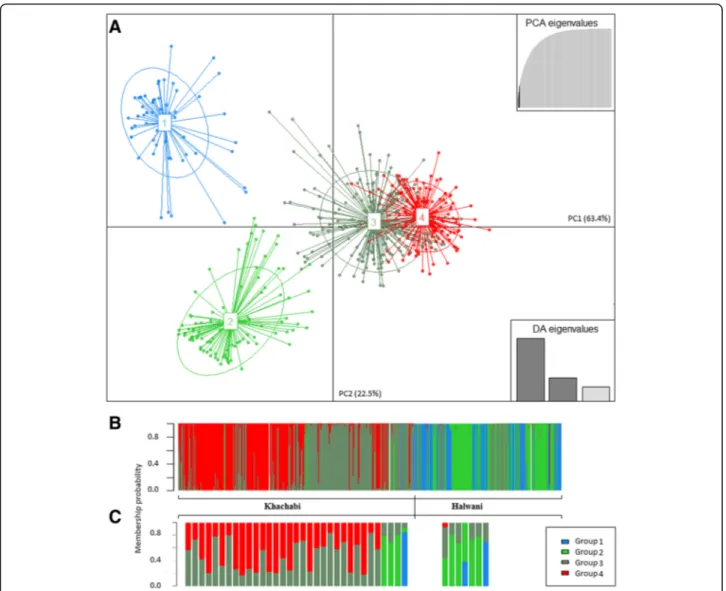 Fig. 5 Genetic structure of almond genotypes estimated by DAPC. a Scatterplot of 509 MLGs on the first two axes representing 63.4% (PC1) and 22.5% (PC2) of the variation