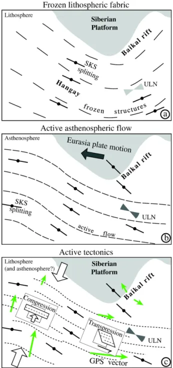 Fig. 7. Schematic presentation of the various possible origins of upper mantle seismic anisotropy in Mongolia