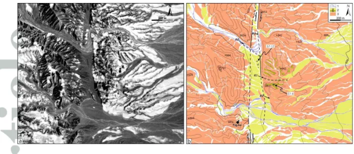 Figure 5.  Site South.  (a) Raw Quickbird imagery of a 100-m wide step-over along the  segment NA2 of the Nayband fault