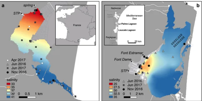 Figure 1: Sampling locations overlaid on the surface salinity distribution (June  2016) in La Palme (a) and Salses-Leucate (b) lagoons (modified from Rodellas  et  al  2018)
