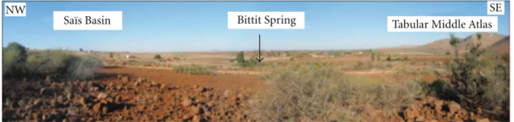 Figure 2: Panorama showing the Bittit spring on the Sa¨ıs basin and TMA junction.