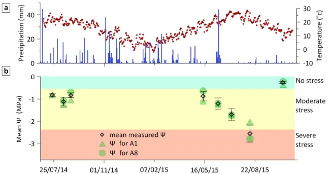 Figure  3:  Seasonal  dynamics  for  the  years  2014  and  2015  of  (a)  climate  (temperature  and  precipitation);  (b)  mean  leaf  water  potential  (Ψ)  and  example  Ψ  for  two  different  trees  (A1  and  A8)