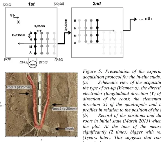 Figure  5:  Presentation  of  the  experimental  plot  and  the  acquisition protocol for the in-situ study