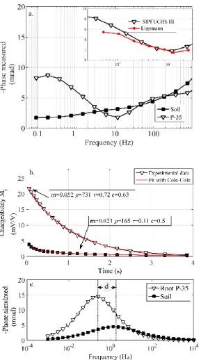 Figure  6  shows  the  results  of  the  SIP  measurements  (6a),  TDIP  measurements  (6b)  and  simulated SIP  measurements (6c)