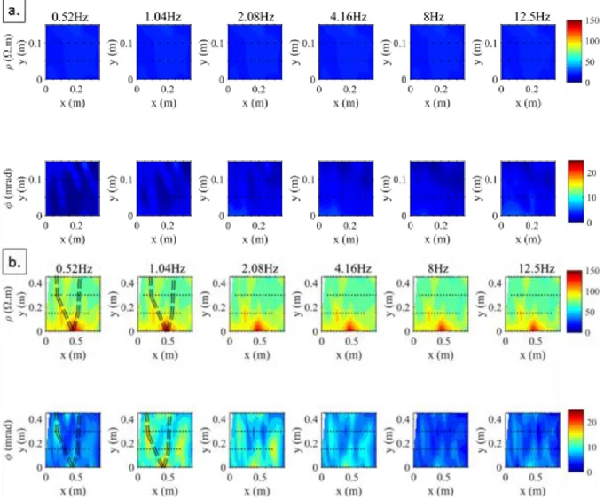 Figure  8:  Result  of  the  SIP  map  produced  using  the  LIPPMANN  device  (a)  on  the  reference plot with the soil alone (b) on a plot with the study tree