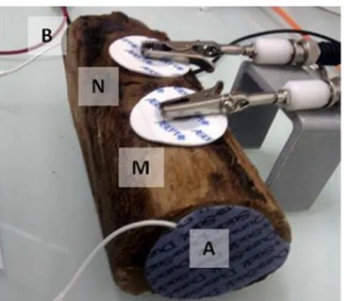 Figure  3:  Transmission  measurement  of  sample  P-35  using  a  Wenner  α  type  set-up  composed  of  medical  electrodes; AB are injection electrodes (carbon,  Ag/AgCl  film), and MN the potential measurement electrodes