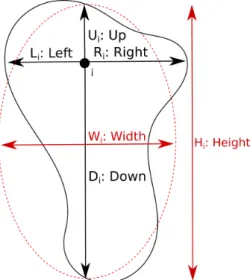 Figure 2 Measurements of the dimensions at a station i of the net- net-work. The elliptic approximation appears in red.