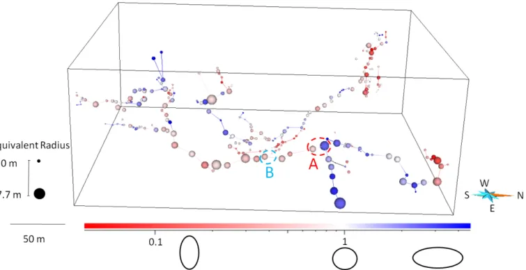 Figure 7 Representation of the Aspirateur network (269 nodes). The size of the nodes is proportional to their equivalent radius while their color depends on the width-height ratio