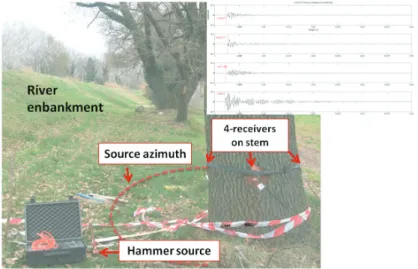 Fig. 5. Exemple of in-situ export using RINNTECH  methodology on Rhˆone river enbankment